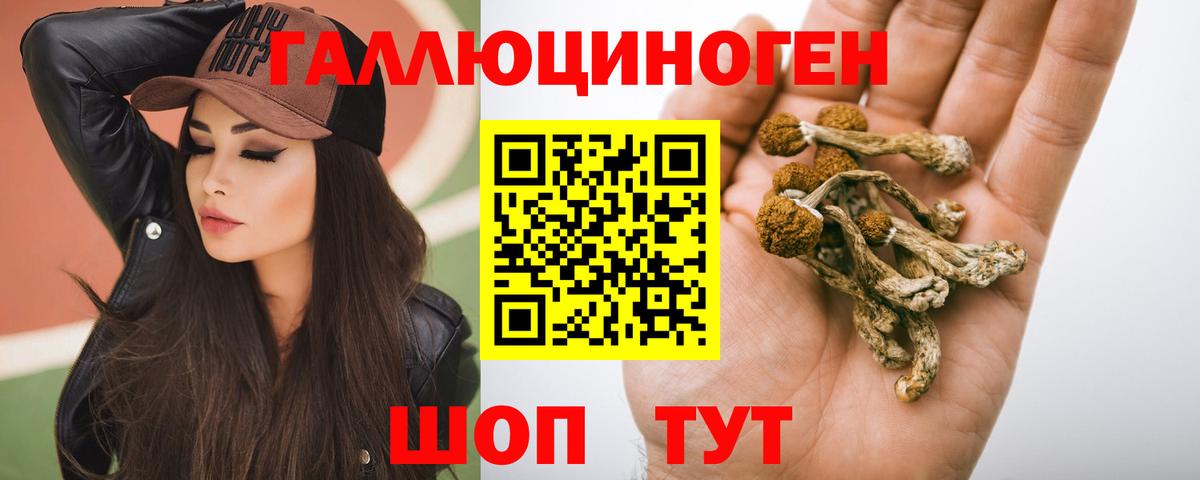 Галлюциногенные грибы Magic Shrooms Торжок